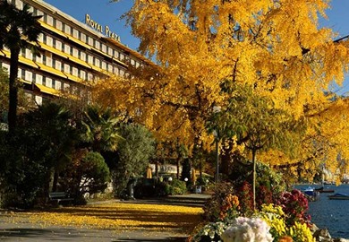 Royal Plaza Montreux and Spa