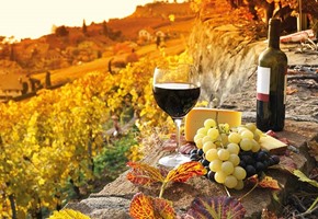 Wine Tasting in Lavaux